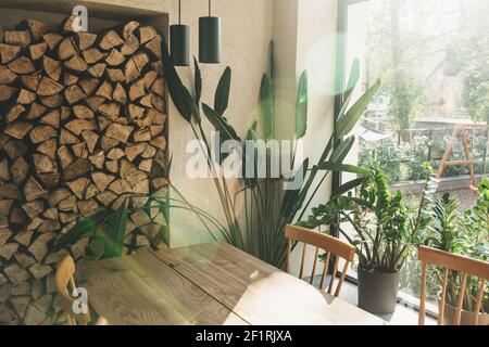 Houseplants next to the window Stock Photo