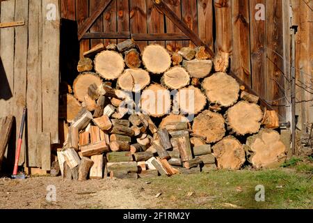 large stack of freshly cut tree rounds stacked against barn with husqvarna 445 chainsaw on top waiting for splitting with axe zala county hungary Stock Photo