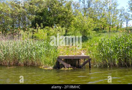 Long Old wooden pier and beautiful lake. Empty on small country lake. of summer. Place for text and fishing. View from lake Stock Photo