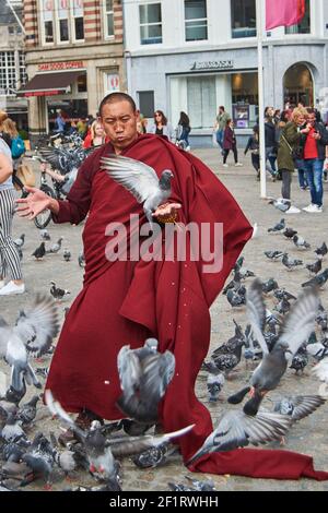 A surprised monk surrounded by pigeons looking for food Stock Photo