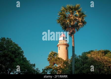 View of lighthouse with palmyra palm tree in foreground, Mahabalipuram, Tamil Nadu, India. Mahabalipuram is a town near Chennai famous for rock monume Stock Photo