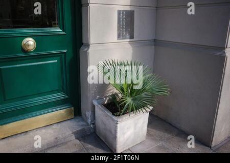Entrance to apartment building in Mar del Plata, Argentina. Green wooden glass door, intercom on a gray wall and a plant in square concrete pot Stock Photo