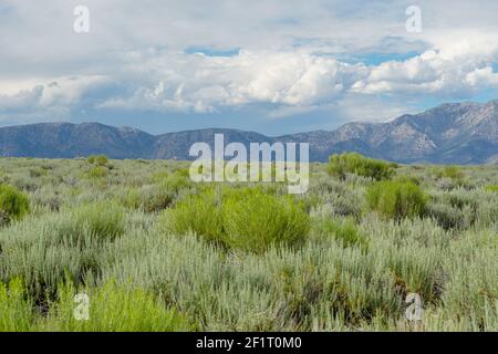 Long valley next the Lake Crowley, Mono County, California. USA. Stock Photo