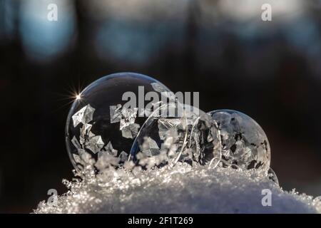 Bubbles, created in winter by the photographer, rapidly form ice crystals on the inside surfaces, Michigan, USA, Stock Photo