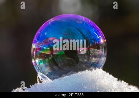 Bubbles, created in winter by the photographer, rapidly form ice crystals on the inside surfaces, Michigan, USA, Stock Photo