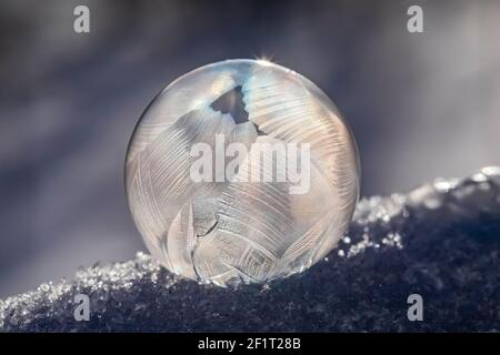 Bubbles, created in winter by the photographer, rapidly form ice crystals on the inside surfaces, Michigan, USA, Stock Photo