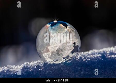 Bubbles, created in winter by the photographer, rapidly form ice crystals on the inside surfaces, Michigan, USA, Stock Photo
