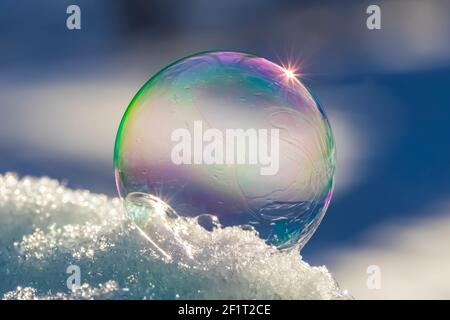 Bubbles, created in winter by the photographer, rapidly form ice crystals on the inside surfaces, Michigan, USA, Stock Photo