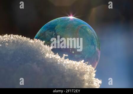Bubbles, created in winter by the photographer, rapidly form ice crystals on the inside surfaces, Michigan, USA, Stock Photo