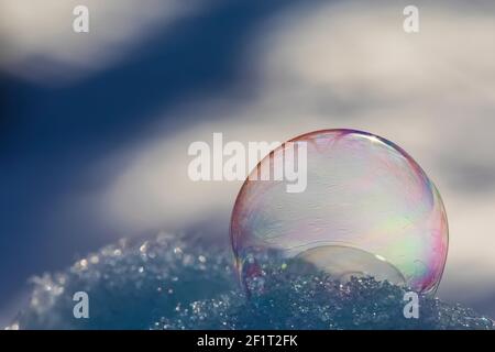 Bubbles, created in winter by the photographer, rapidly form ice crystals on the inside surfaces, Michigan, USA, Stock Photo