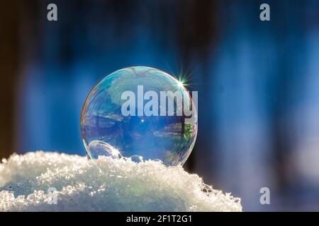 Bubbles, created in winter by the photographer, rapidly form ice crystals on the inside surfaces, Michigan, USA, Stock Photo