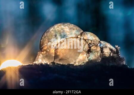Bubbles, created in winter by the photographer, rapidly form ice crystals on the inside surfaces, Michigan, USA, Stock Photo