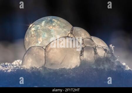 Bubbles, created in winter by the photographer, rapidly form ice crystals on the inside surfaces, Michigan, USA, Stock Photo