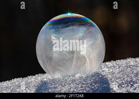 Bubbles, created in winter by the photographer, rapidly form ice crystals on the inside surfaces, Michigan, USA, Stock Photo