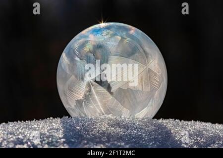 Bubbles, created in winter by the photographer, rapidly form ice crystals on the inside surfaces, Michigan, USA, Stock Photo