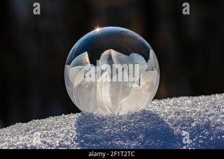 Bubbles, created in winter by the photographer, rapidly form ice crystals on the inside surfaces, Michigan, USA, Stock Photo