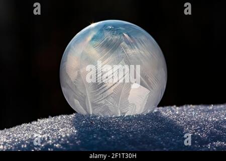 Bubbles, created in winter by the photographer, rapidly form ice crystals on the inside surfaces, Michigan, USA, Stock Photo