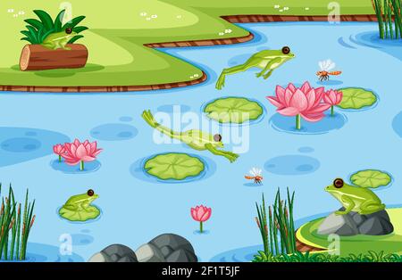 Many green frogs in the pond scene Stock Vector Image & Art - Alamy