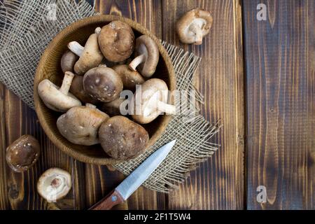 Mushrooms shiitake in the brown plate on the  rustic wooden background.Top view.Copy space. Stock Photo