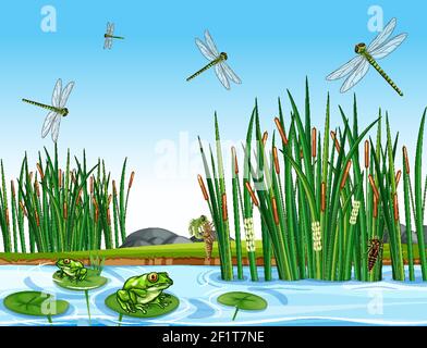 Many green frogs and dragonfly in the pond scene Stock Vector Image ...