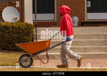 Clarksburg, MD, USA 03-03-2021: A   hispanic gardener is carrying an empty wheel barrow in a residential neighborhood. He works at a local landscaping Stock Photo