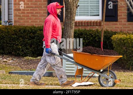 Clarksburg, MD, USA 03-03-3021: A latino man with a goatee beard wearing red hoodie, camouflage pants and worker boots is carrying a wheelbarrow with Stock Photo