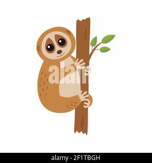 Wild loris on the branch. Vector illustration Stock Vector