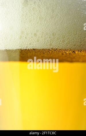 Close up beer with foam. Glass of beer closeup view. Stock Photo