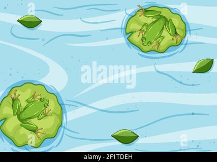 Top view of frog on lotus leaf in the water illustration Stock Vector