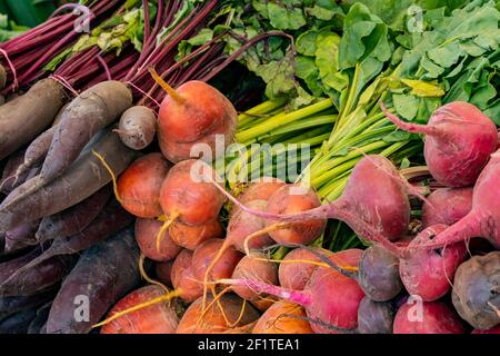 Close up view of organic turnips beets and carrots in bunches on offer at a farmers market Stock Photo