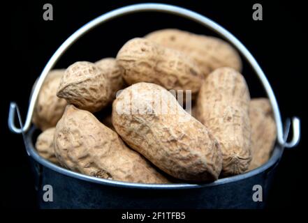 Red peanut seeds in miniature bucket on black background. Stock Photo