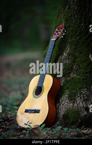 Acoustic Guitar. Wooden Acoustic Guitar leans on green tree in the wood. Music Theme with Acoustic Guitar in the forest Stock Photo
