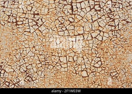 Rugged texture of finely cracked paint on rusty surface background closeup Stock Photo