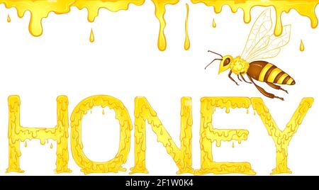 Lettering dripping word Honey yellow color with drips and bee. Vector illustration isolated on white background. Font design in hand drawn style. Words for print, posters, books, icon, stickers. Stock Vector