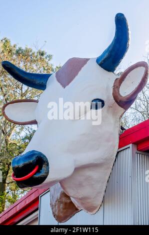 A Giant Bull Head Statue Is Mounted Above Bama Bob S q March 7 21 In Mobile Alabama The Restaurant Serves Barbecue And Other Food Items Stock Photo Alamy