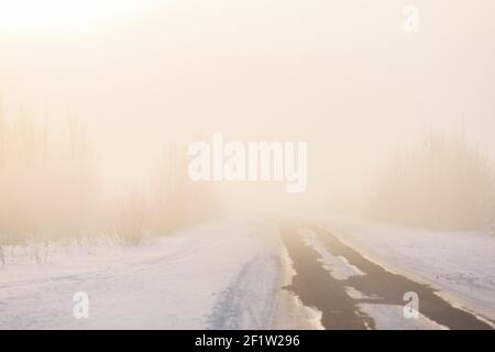Winter landscape. Empty country road in morning fog with shining sunlight Stock Photo