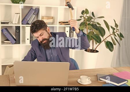 Software license agreement. Destroy laptop. Hateful job. Bad computer. Slow internet connection. Outdated software. Computer lag. Lagging system. Hate office routine. Man bearded crush computer. Stock Photo