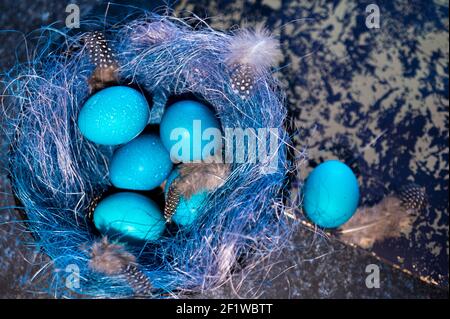 Mystical coloring Easter eggs with twigs in a decorative nest on blue background. Background with copy space. Selective focus Stock Photo