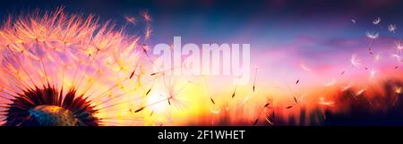 Defocused Dandelion With Flying Seeds At Sunset - Freedom In Nature Concept Stock Photo