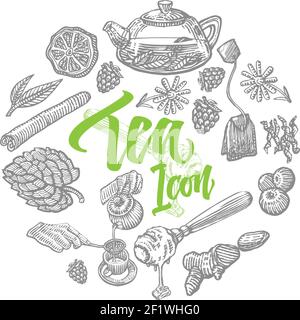 Hand drawn tea elements set with natural organic ingredients and teapot in circle isolated vector illustration