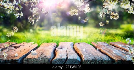 Empty Table And Defocused Fresh Green Background Stock Photo - Alamy