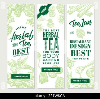 Sketch healthy tea vertical banners with organic herbal berry and fruit ingredients in vintage style vector illustration