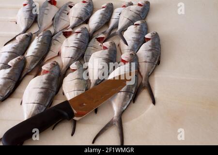 Chef's Knife and Cleaned Leerfish at Kitchen on Marble Stock Photo