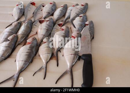 Chef's Knife and Cleaned Leerfish at Kitchen on Marble Stock Photo