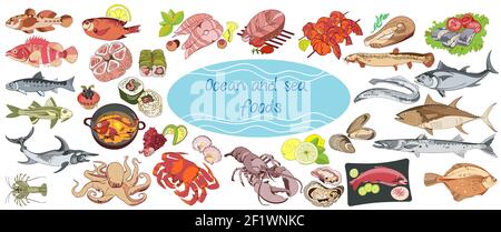 Colorful drawing marine food collection Stock Vector