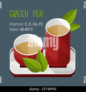 Green tea elements with leaves red pair on saucer and useful properties of beverage isolated Stock Vector