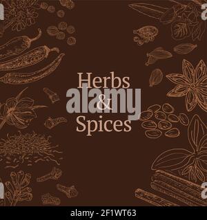Sketch herbs and spices template with cinnamon coriander cardamom chili pepper saffron star anise poppy cloves Stock Vector