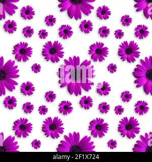 Beautiful violet or purple flower heads seamless pattern on white background. Top view of flowers. Banner Stock Photo