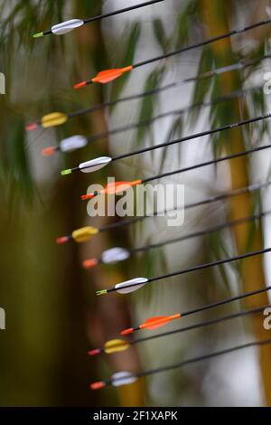 The World Games 2013 - Cali - Colombia - 25/07 to 04/08/2013 - Photo PHILIPPE MILLEREAU / KMSP / DPPI - Day 7 - 31/07/13 - Men - Field Archery - Illustration Stock Photo