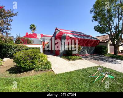 Residential villa covered with a red tent while being fumigated for termites. Stock Photo